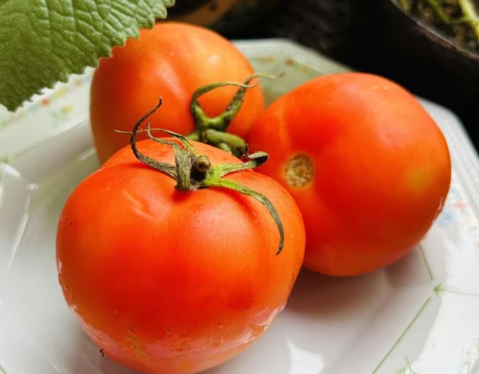 Cảnh báo: 5 nhóm người không nên ăn nhiều cà chua, rất nhiều người mắc mà không hay