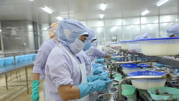 EU siết một loạt quy định, hàng Việt Nam gặp nhiều “cửa ải” khi vào châu Âu
