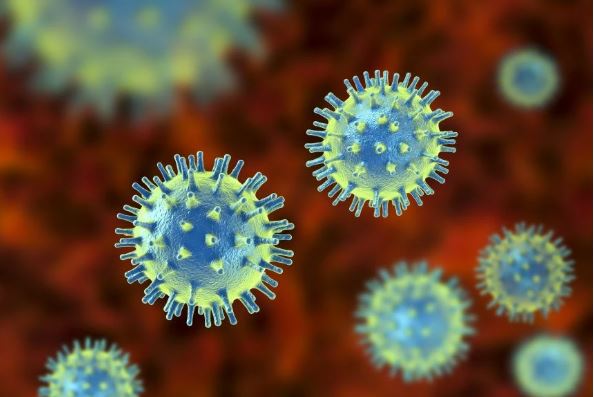 Virus lây lan mạnh nhất thế giới xuất hiện tại 2 sân bay lớn của Mỹ