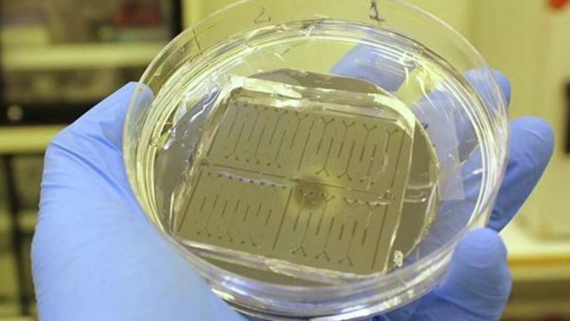 Nga chế tạo bộ thiết bị chẩn đoán sớm ung thư và lão hóa