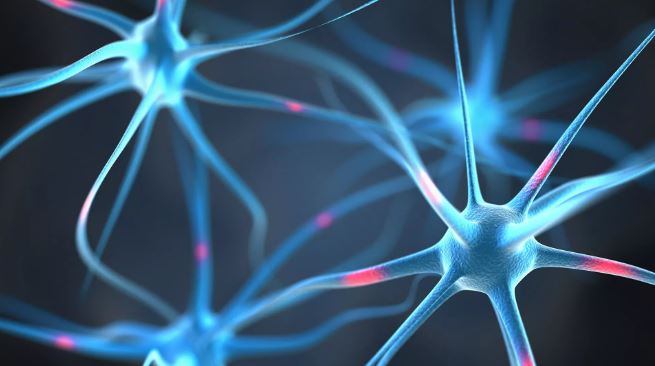 Tin vui cho người bị bệnh động kinh: Các nhà khoa học Nga tìm ra phương pháp điều trị mới