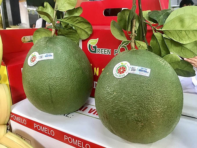 Nga tăng mạnh nhập khẩu trái bưởi tươi từ thị trường Việt Nam