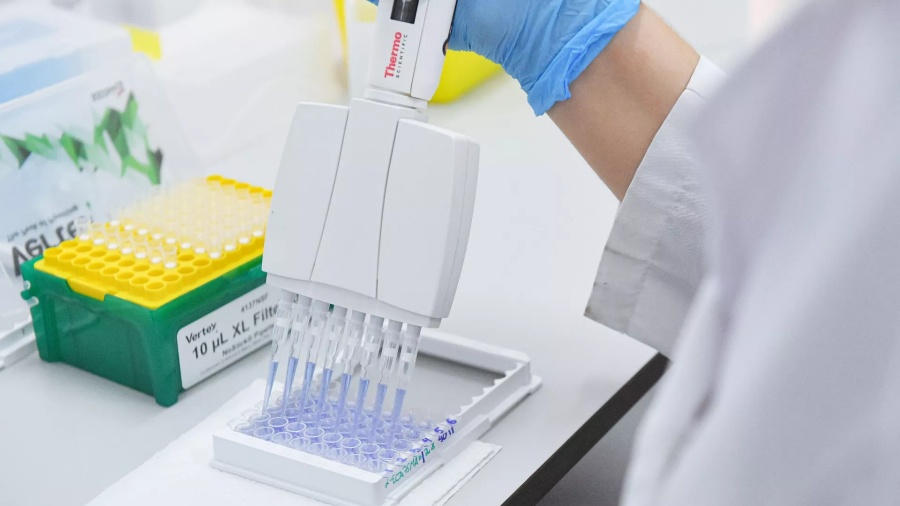 Virus bí ẩn ở Trung Quốc gây lo lắng, Bộ Y tế Việt Nam lên tiếng