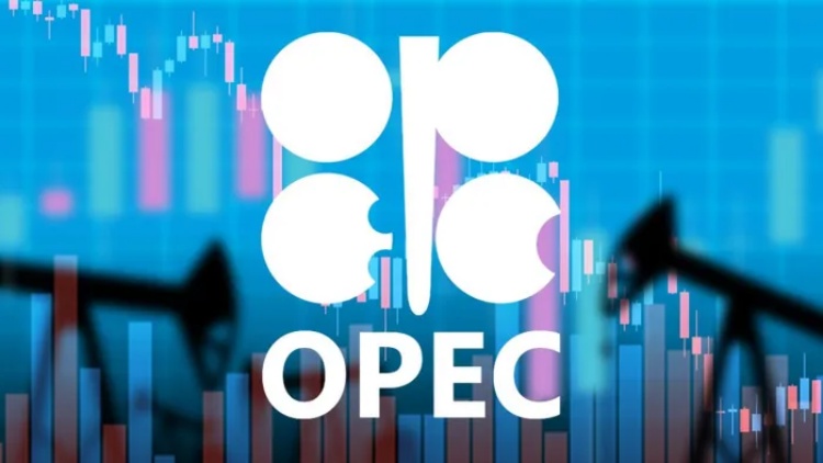 OPEC+ đối mặt với bất ổn địa chính trị và thách thức thị trường dầu mỏ năm 2025