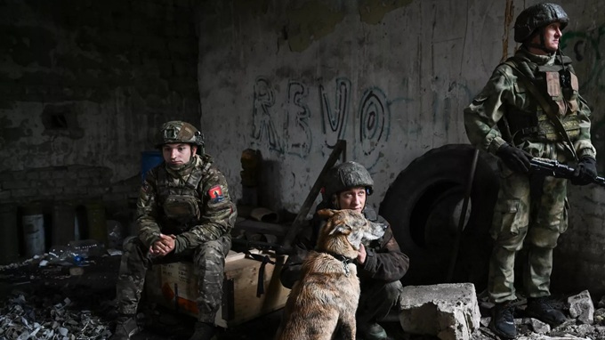 Các quân nhân Nga kể về chú chó cứu mạng họ trong khu vực chiến dịch quân sự đặc biệt