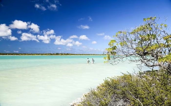 Nơi đầu tiên trên thế giới bước qua năm 2026