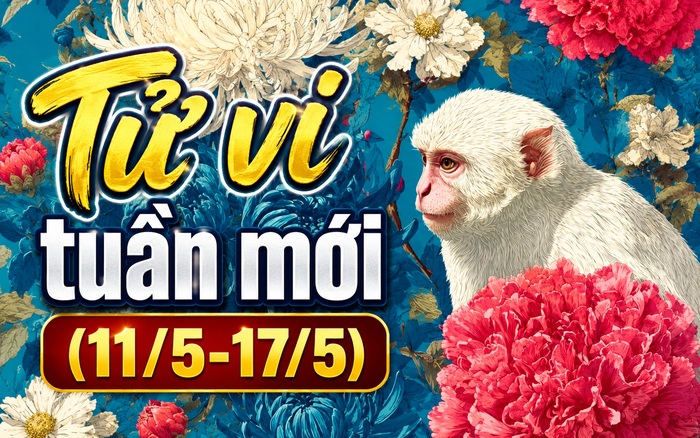 Tử vi tuần mới (11/5-17/5): Top 3 con giáp được Thần Tài che chở, quý nhân giúp đỡ hết mình