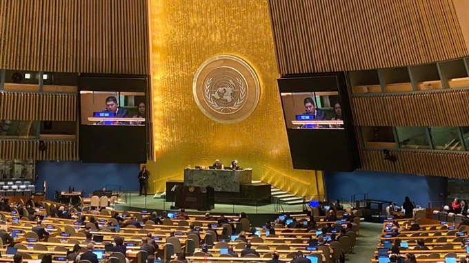 Việt Nam sẵn sàng tham gia sâu vào tiến trình hòa bình ở Gaza