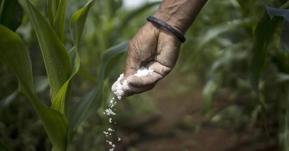 Giá phân bón tăng mạnh do xung đột, Nga 'trúng đậm'