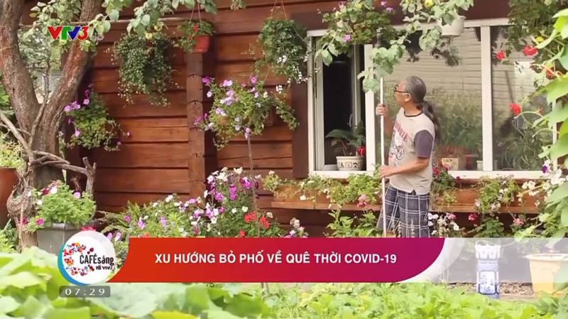 Nga: Xu hướng bỏ phố về quê thời Covid-19