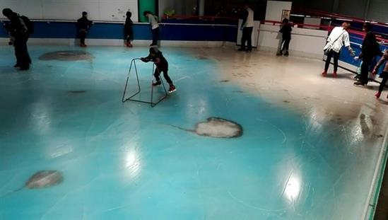 [Video] Sân trượt băng dùng 5.000 con cá đông lạnh để trang trí