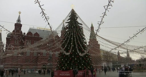 Nhộn nhịp thị trường cây thông Giáng sinh tại Nga