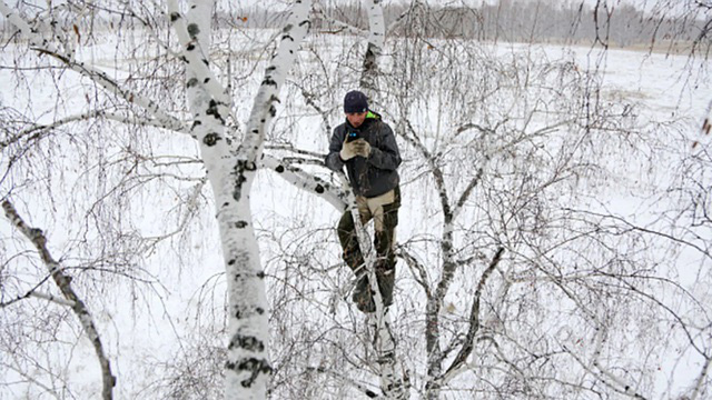 Chàng trai Nga trèo cây cao 8m tìm bắt sóng di động để học trực tuyến