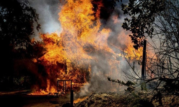 Cháy rừng thiêu rụi hàng chục tòa nhà tại Nga