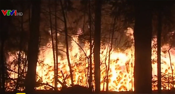 Điều tra về vụ cháy rừng quốc gia Nga