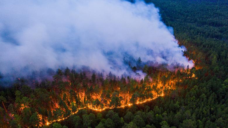 Nga hỗ trợ thân nhân những người thiệt mạng do cháy rừng
