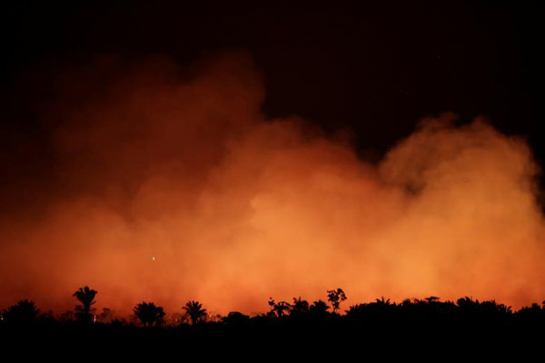 Thế giới lo ngại sâu sắc trước cháy rừng “đáng báo động” ở Amazon