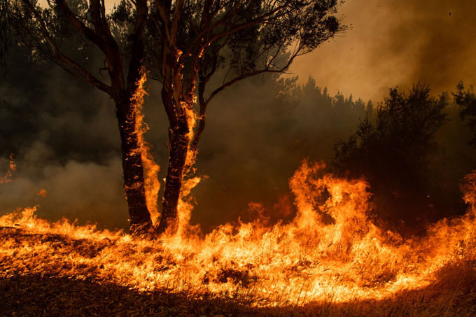 Úc: Cháy rừng hai bang nhập một, 'siêu hỏa ngục' hình thành