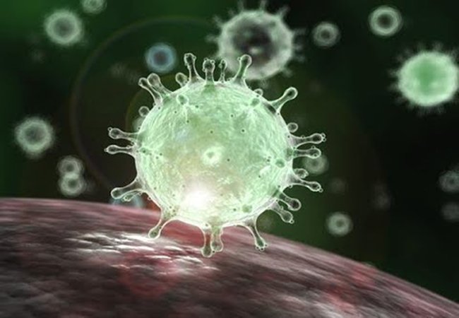 Phát hiện virus mới giống SARS-CoV-2 tới 94,5%