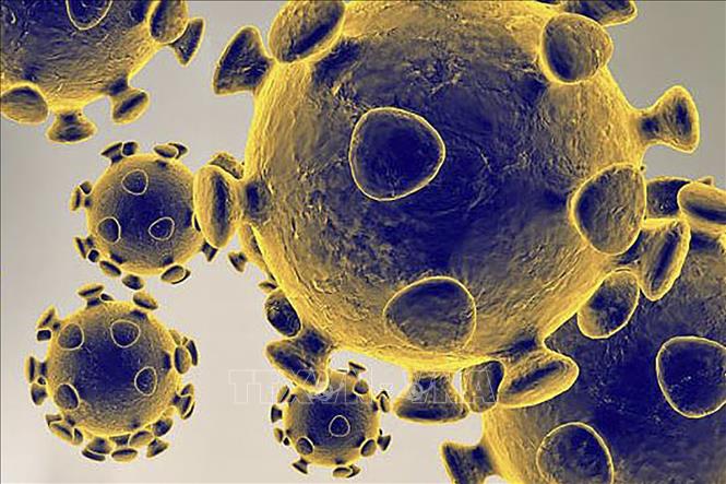 Nhật Bản phát hiện thêm một biến thể mới của virus SARS-CoV-2