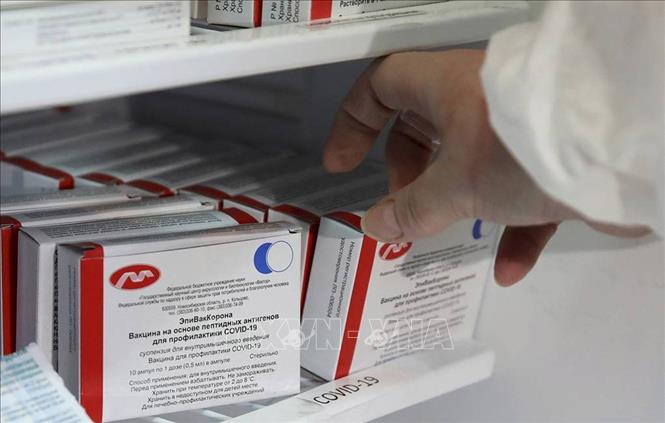 Nga hoàn tất thử nghiệm vaccine CoviVac ngừa COVID-19 đối với người trên 60 tuổi