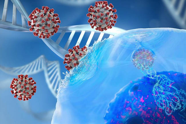 Pháp phát hiện biến chủng SARS-CoV-2 mới có khả năng ''qua mặt'' xét nghiệm PCR