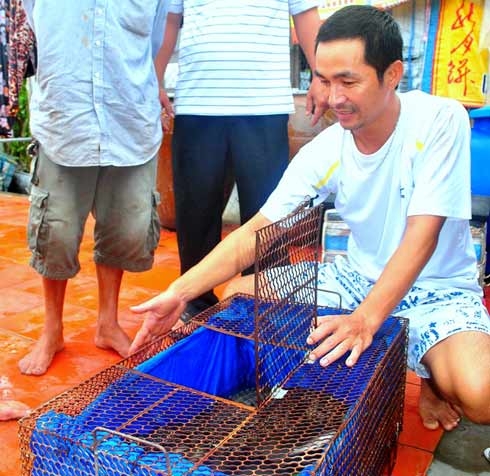 Tiết lộ về con cá sấu phát ra tiếng... chó sủa