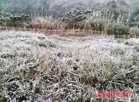 Nghệ An bất ngờ có tuyết do không khí lạnh