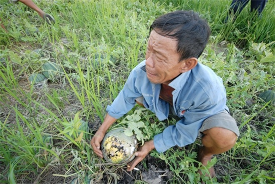 Độc giả bật khóc theo nông dân
