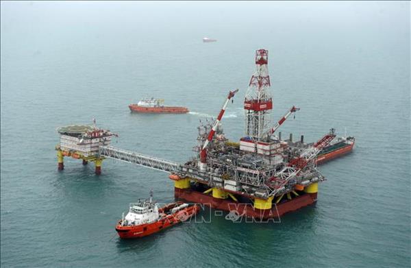 IEA: Quyết định của OPEC không làm thay đổi thị trường dầu mỏ
