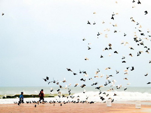 “Đại lộ” chủ quyền