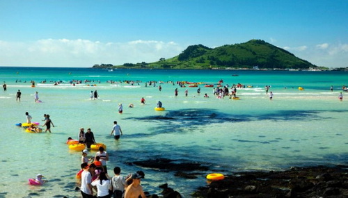 Đã tìm được 19/56 người Việt 