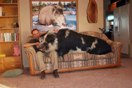 Người Việt kể chuyện cuộc sống ở nơi -60 độ C