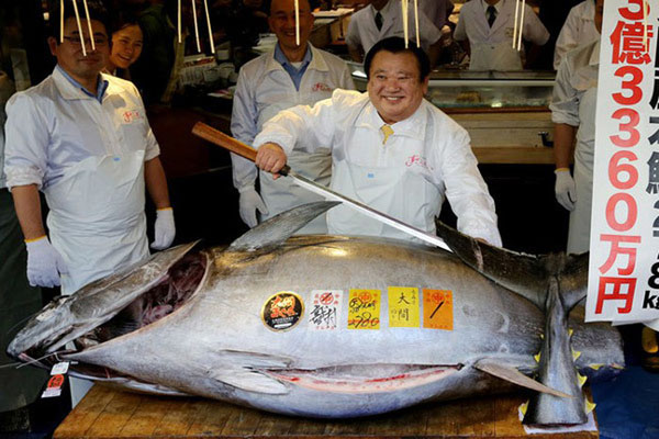 Cận cảnh con cá ngừ 'khủng', giá hơn 71 tỉ đồng