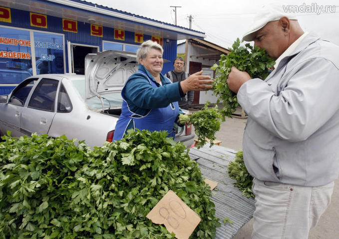 90 người nhập cư trồng hoa màu trái phép bị bắt tại ngoại ô Mátxcơva