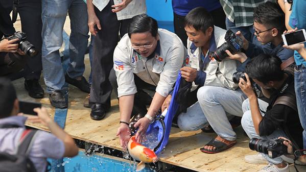 Chuyên gia Nhật Bản thả cá Koi xuống sông Tô Lịch chứng minh nước đã sạch
