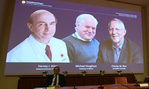 Nobel Y Sinh cho nghiên cứu về virus viêm gan C
