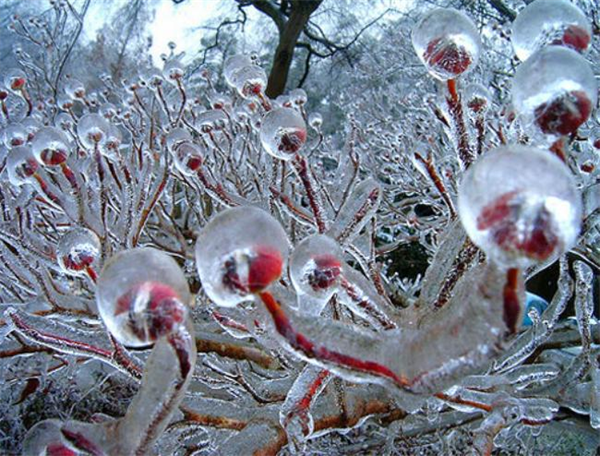 Mưa băng lại đe dọa thủ đô Matxcova