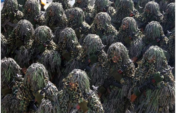 Ngụy trang quân sự và những hình ảnh ấn tượng nhất (P1)