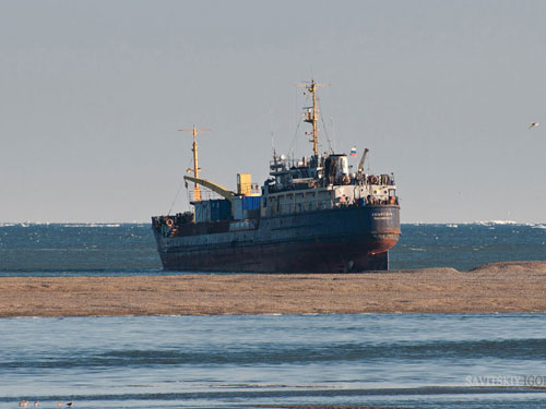 Tìm thấy tàu chở 700 tấn quặng vàng của Nga mất tích