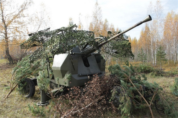 Ngụy trang quân sự và những hình ảnh ấn tượng nhất (P2)