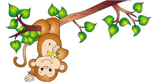 Tử vi năm Quý Tỵ cho người tuổi Thân