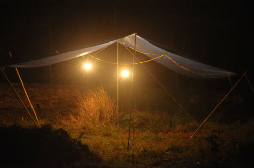 Đêm bốc mộ hé lộ tội ác của người chồng giết vợ