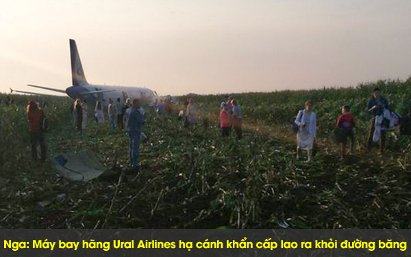 Nga: Máy bay hãng Ural Airlines hạ cánh khẩn cấp lao ra khỏi đường băng