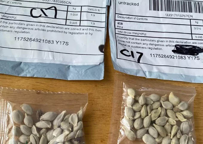 Mỹ công bố sự thật phía sau những gói hạt giống bí ẩn gửi từ Trung Quốc