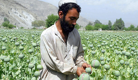Ở Nga mỗi năm có 30 tấn heroin Afghanistan
