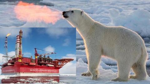 Nga tự tin hút dầu thoải mái vì đã có Bắc Cực