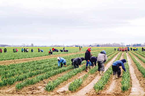 Hoa Kỳ đang thay đổi (B3): Đảo lộn nề nếp trong ấm, ngoài yên