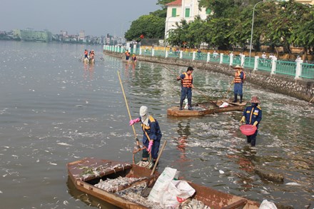 Hà Nội: Hơn 5 tấn cá chết bất thường, nổi trắng ở Hồ Tây