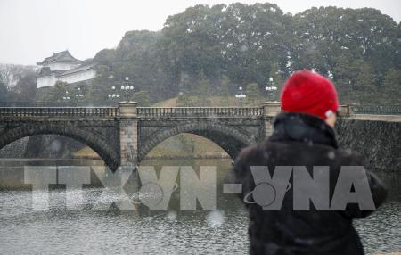 Nhật Bản: Tuyết rơi dày nhất tại Tokyo trong 4 năm qua